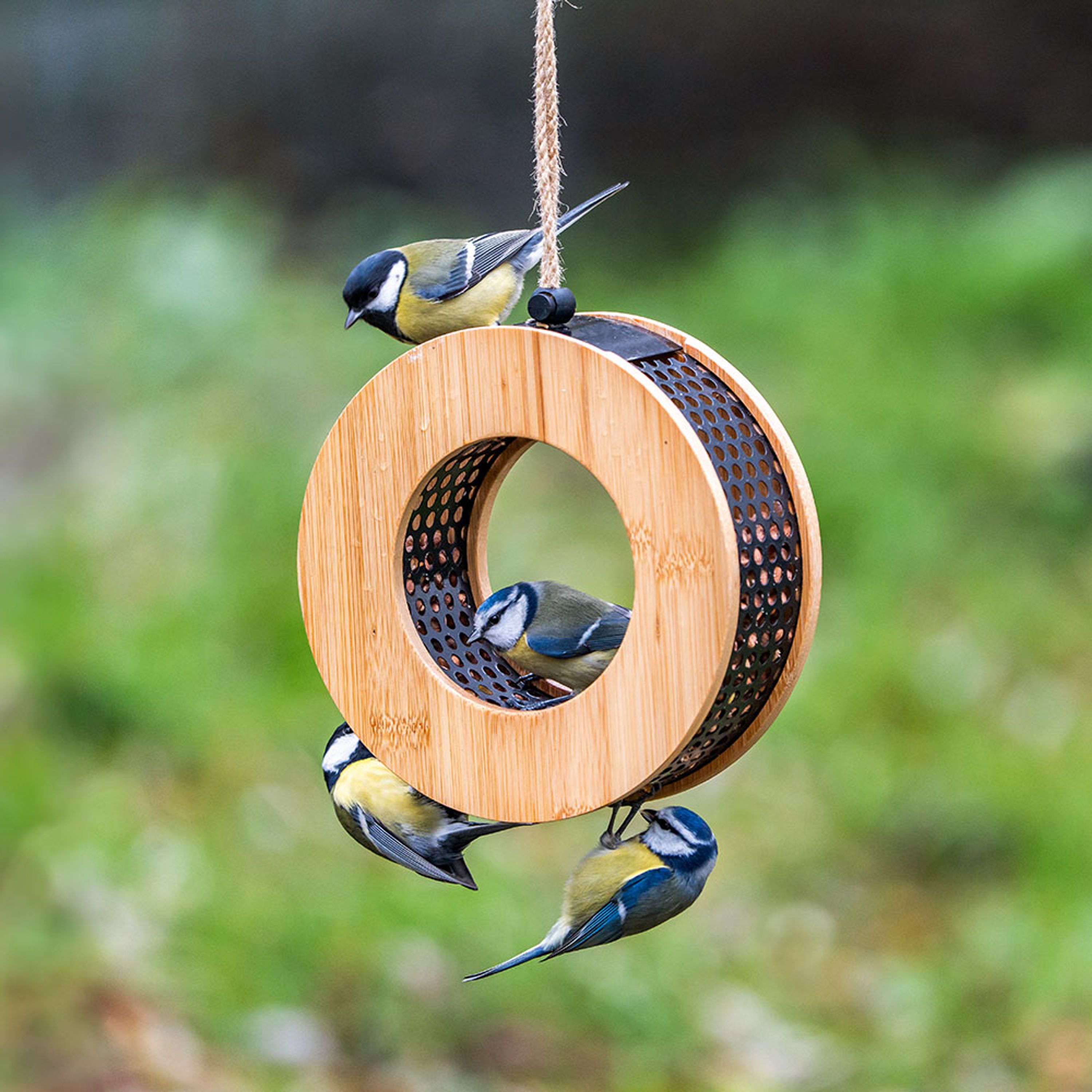 Erdnussfutterhaus Kyoto | CJ Wildlife